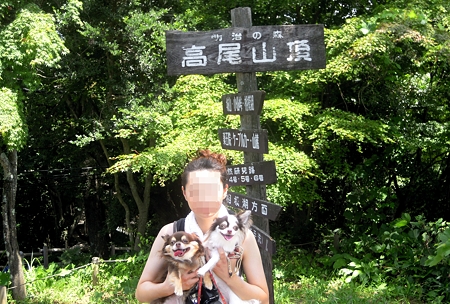 DSCN3534