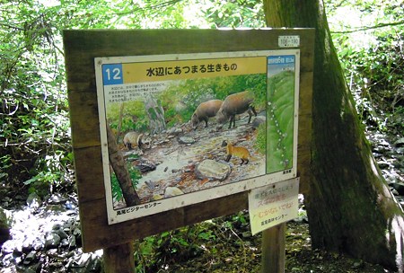 DSCN3553