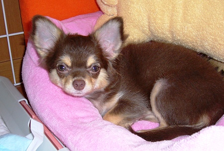 P1000033