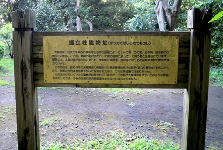 DSCN3619