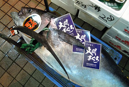 DSCN4590
