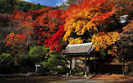 金蔵寺04