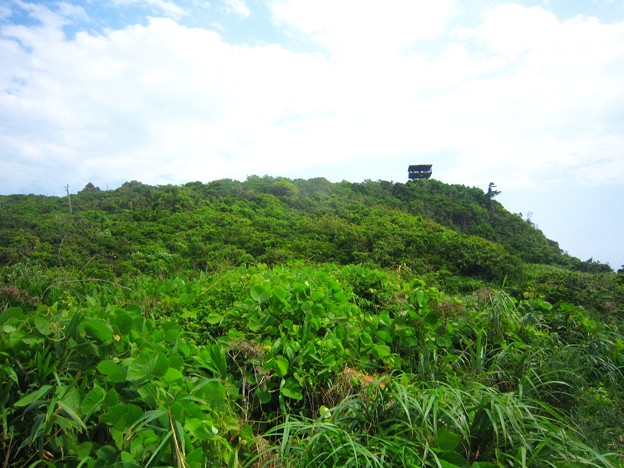 篠島南部
