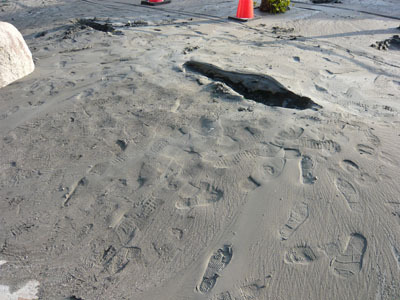 マンション前歩道110312