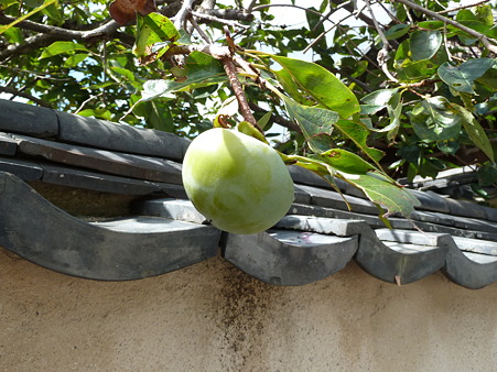 岡山2010 050