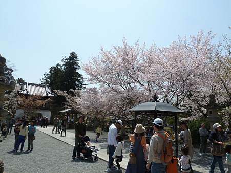 根来寺2011 013