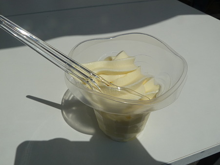 佐用ひまわり2011 038