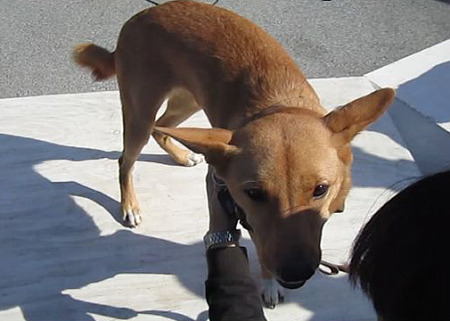 たび2010_1106_05
