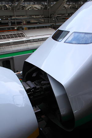 Ｅ４系ＭＡＸとＥ３系1000番台のチュー
