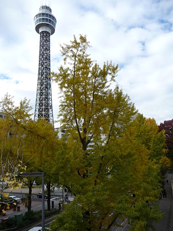 101119-紅葉 山下公園通り (51)