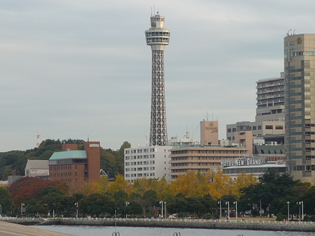101119-大桟橋 (14)