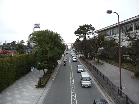 110115-若宮大路 (11)