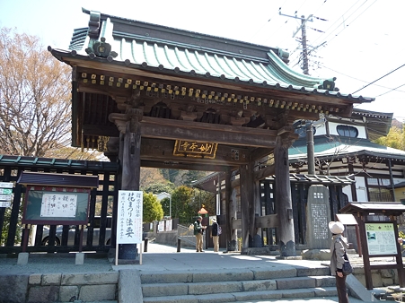 110406-妙本寺 (1)