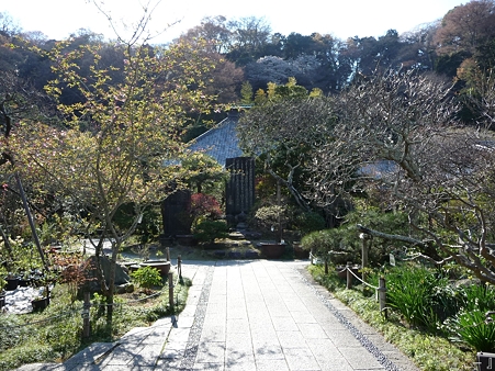 110406-光則寺 (36)