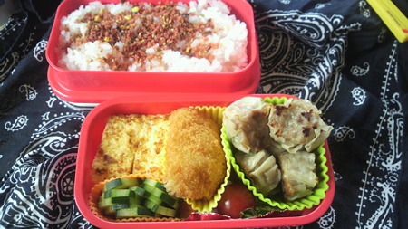 今日のお弁当@2010/6/9