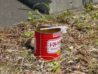 ケチャップ