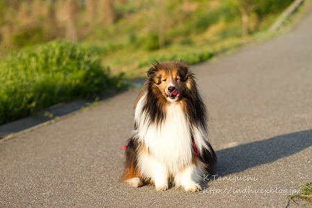 EF50 F1.4テスト撮影