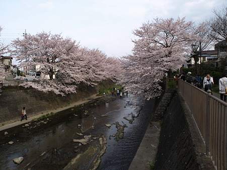 恩田川20