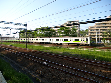 電車見橋1