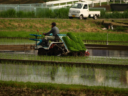 田植え(恩田駅界隈)