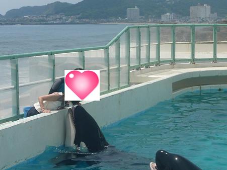 夏休み旅行