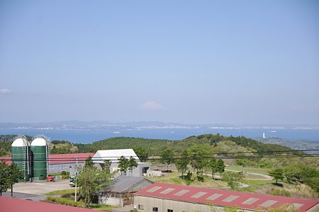 IMGP8717