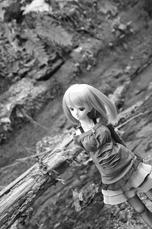 IMGP9614-kuro
