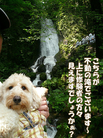 岩手 不動の滝 7