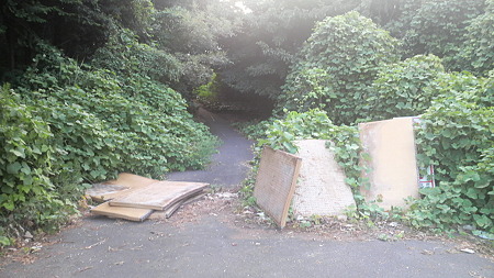 P1000800