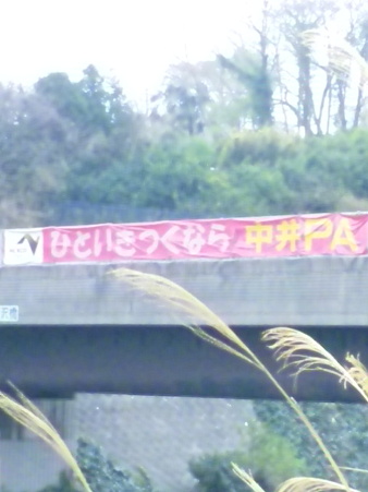 SBSH0166