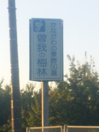 SBSH0754