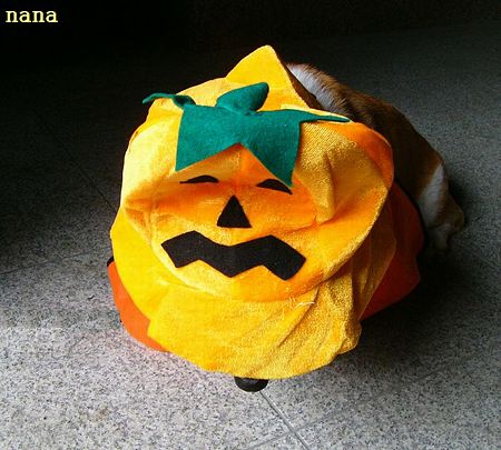 ハロウィン
