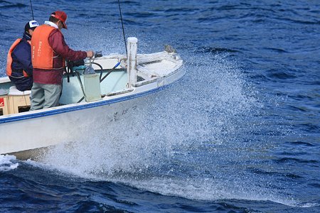 2010.10.29 浄土ヶ浜 島めぐり 釣船
