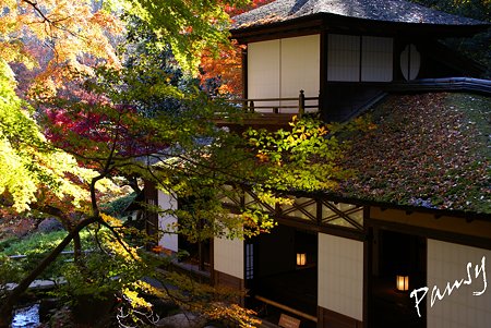 紅葉の三渓園・・14