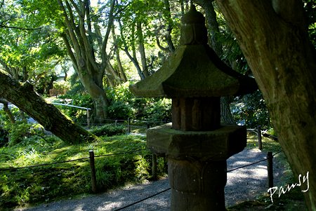 緑陰の石灯籠・・夏の三渓園内苑・・4