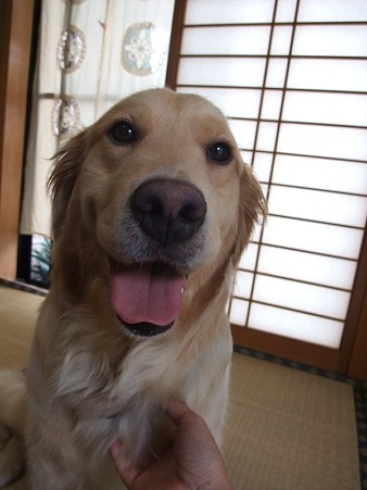 とってもいい顔しています!