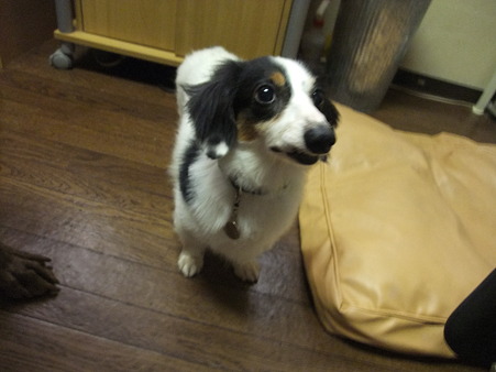 早く帰りたいねん?