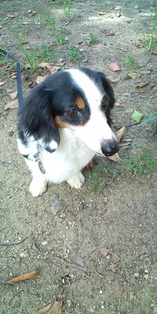20100805093749