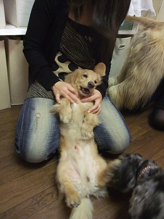 お姉ちゃんに甘えるトーイ♪