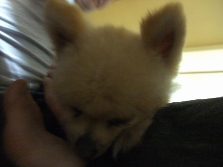 zzz・・・