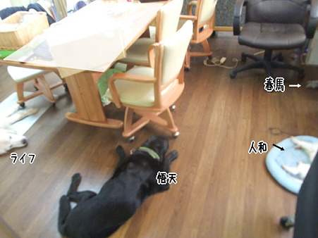 1頭足りない