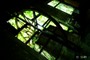 クリックで拡大 P1050659.jpg