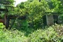 クリックで拡大 P1050654.jpg