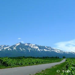 クリックで別画像 P1050815.jpg