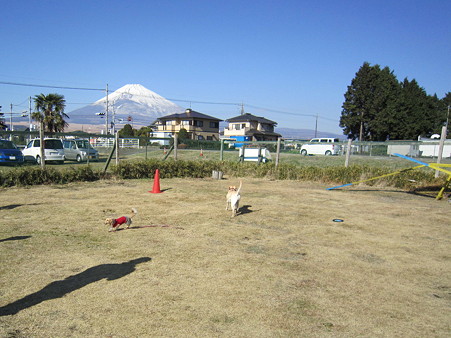 追いかけっこ(3)