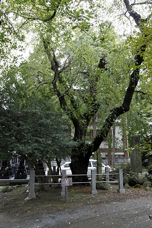 専称寺 - 07