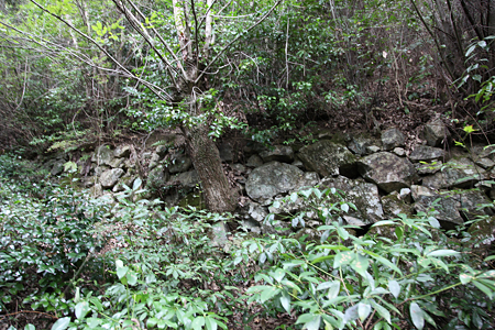 岩尾城 - 06