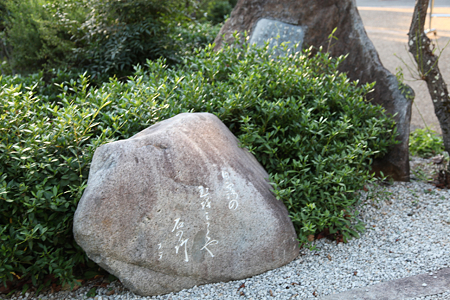 田ステ女公園 - 5