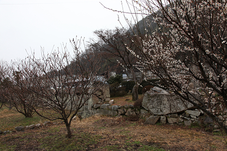 土居屋敷跡 - 1