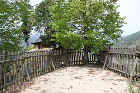 高根城 - 10